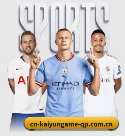 五大服务分区,信息按项目分类
